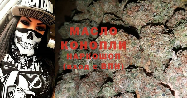 гидра Кулебаки