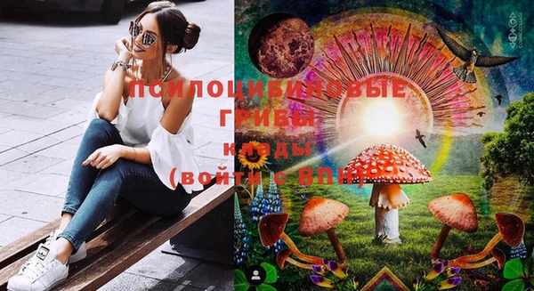 гидра Кулебаки
